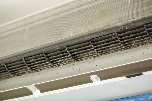 Best Local Air Duct Cleaning Services  in Warson Woods, MO